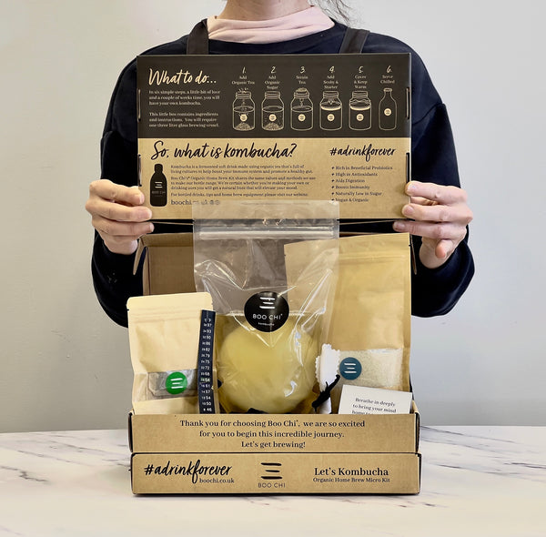 LETTERBOX: Organic Kombucha Making Kit + 1 bottle of original kombucha to balance